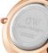 Daniel Wellington Petite Dover